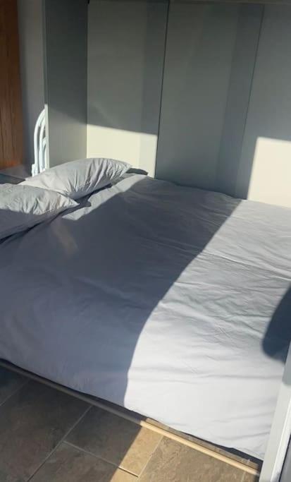 Adorable Bedsit For You, Partner And Your Pet! Stepaside  Exterior foto