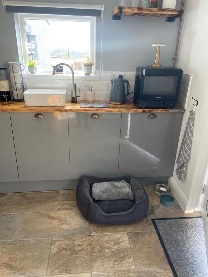Adorable Bedsit For You, Partner And Your Pet! Stepaside  Exterior foto